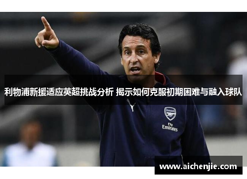 利物浦新援适应英超挑战分析 揭示如何克服初期困难与融入球队