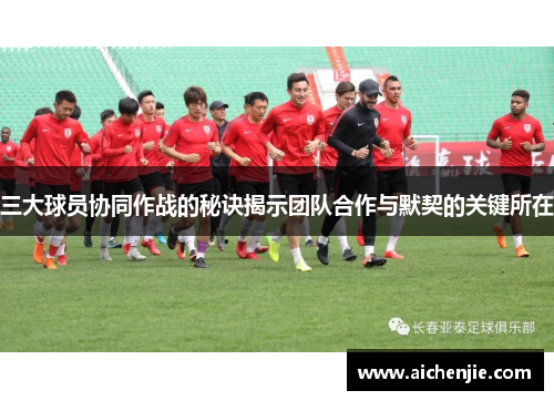 三大球员协同作战的秘诀揭示团队合作与默契的关键所在