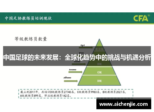 中国足球的未来发展：全球化趋势中的挑战与机遇分析
