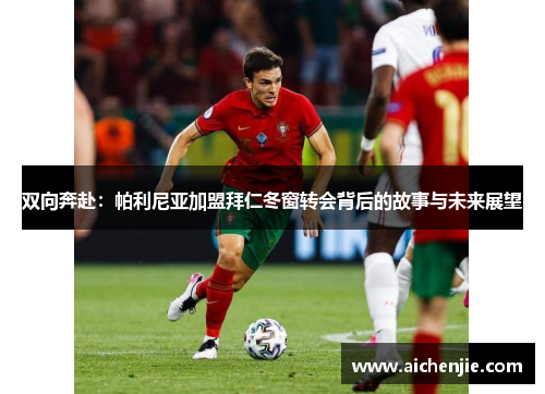 双向奔赴：帕利尼亚加盟拜仁冬窗转会背后的故事与未来展望