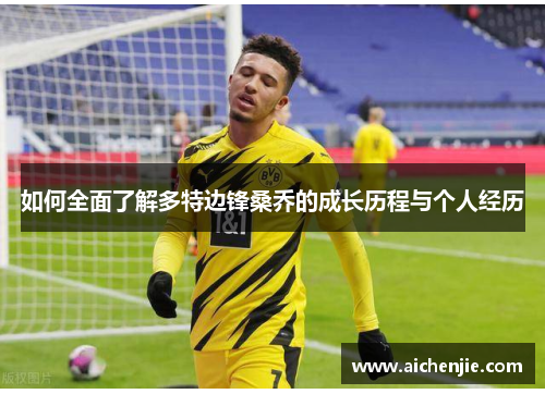 如何全面了解多特边锋桑乔的成长历程与个人经历