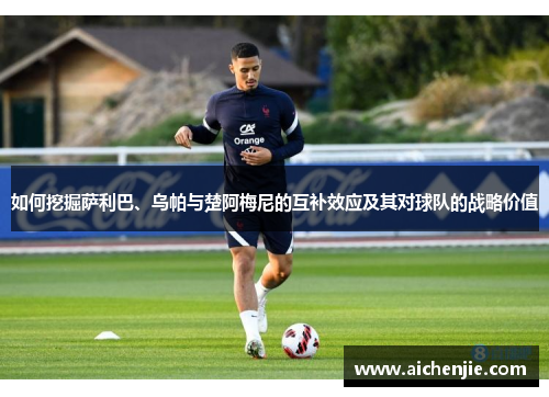 如何挖掘萨利巴、乌帕与楚阿梅尼的互补效应及其对球队的战略价值