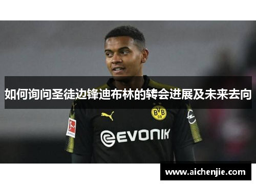 如何询问圣徒边锋迪布林的转会进展及未来去向 如何询问圣徒边锋迪布林的转会进展及未来去向